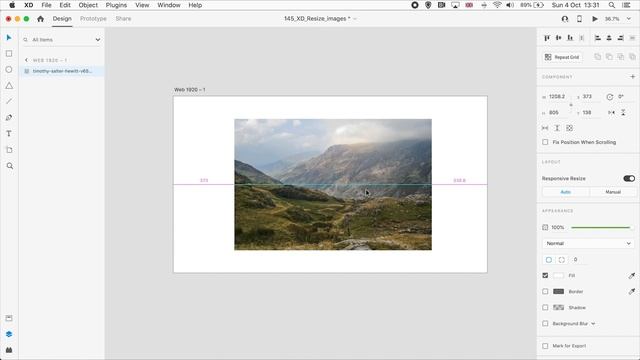 How To Resize Images | Adobe XD Beginner Tutorial