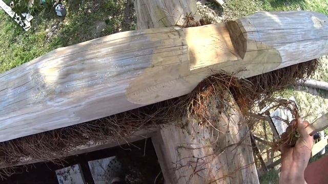 Подробно о процессе переборки на мох Основные моменты смотреть онлайн