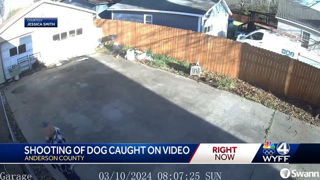 Video of SC man fatally shooting neighbor's dog leads to his arrest, deputies say смотреть онлайн