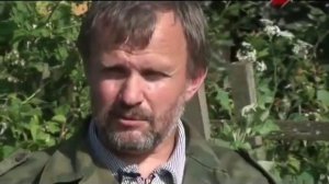 Крапива двудомная и жгучая