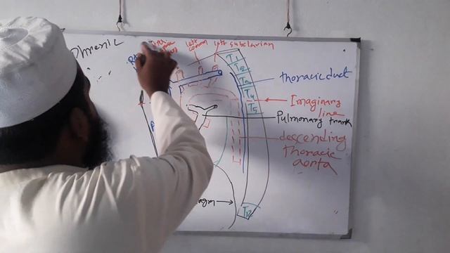 mediastinum 2 смотреть онлайн