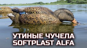Кряква кормящаяся Softplast Alfa | Чучела уток