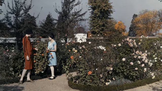 Oreste And His Queensland Orchestra - Where The Shy Little Violets Grow - 1928. смотреть онлайн