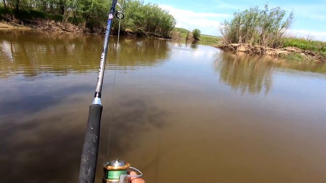 Сколько же сомов в этой маленькой протоке!!! А так же короткий обзор снастей. смотреть онлайн