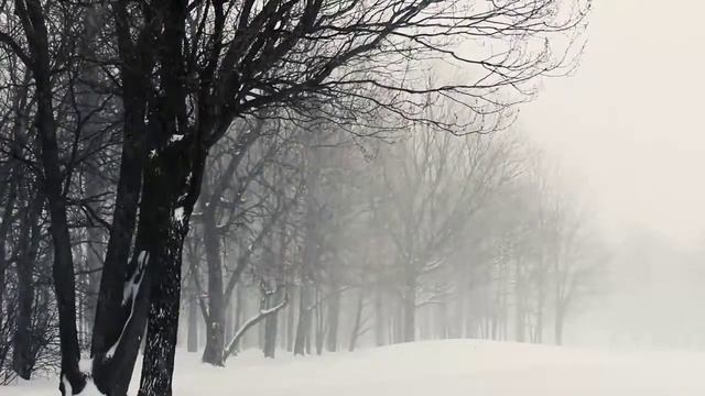 Winter Wind Sound Effects | Snow Storm Background Video | Copyright Free Nature Sounds смотреть онлайн