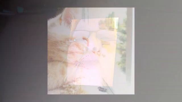 TUULI VIEDÄ SAA смотреть онлайн