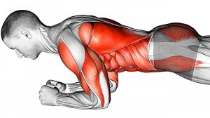 Планка для Начинающих