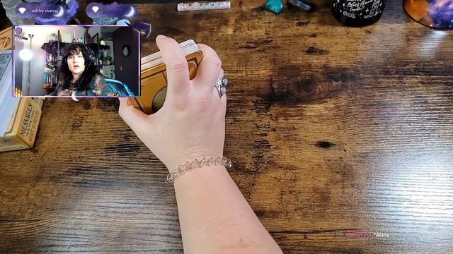 Messages From Your Animal Spirit Guides Oracle | Live Flip Through смотреть онлайн