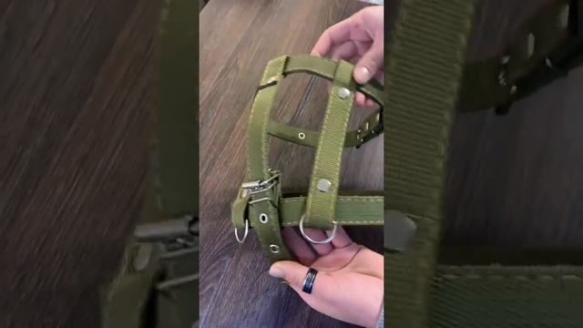 Шлея для собаки брезентовая смотреть онлайн