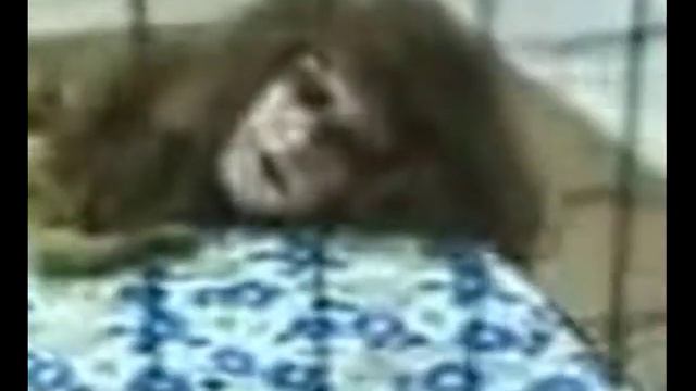 СЕНСАЦИЯ ! ПОЙМАНА ЖИВАЯ РУСАЛКА ! смотреть онлайн