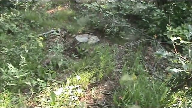 Армения Степанаван Райская природа смотреть онлайн