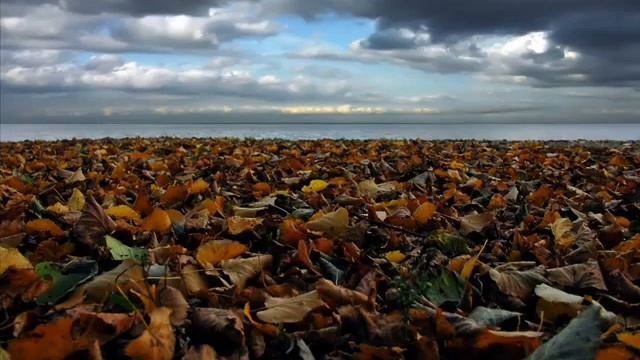 Krec (Ассаи) _Исповедь_.flv смотреть онлайн