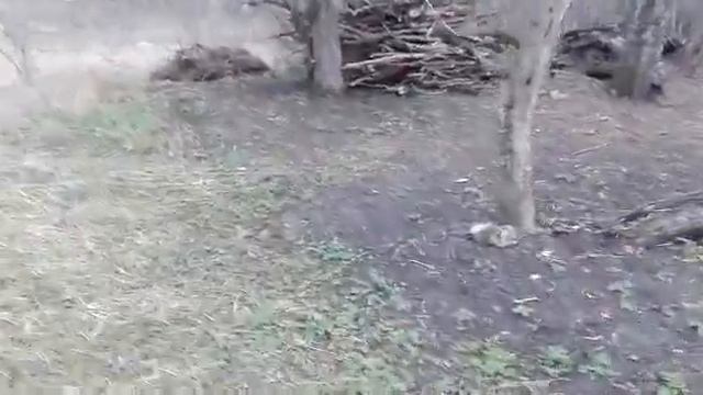 День прошёл, что сделано / Жизнь в селе. смотреть онлайн