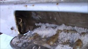 Установка звукового сигнала на заднюю передачу