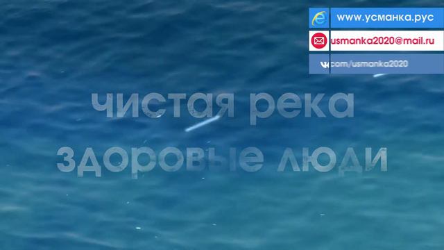 Центр сохранение реки Усманка. Заставка... смотреть онлайн