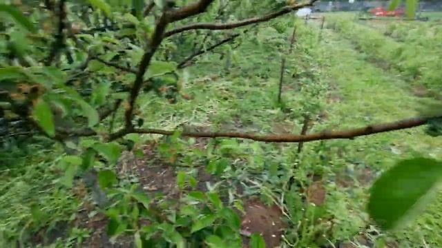 Тайные ключи эзотерической власти