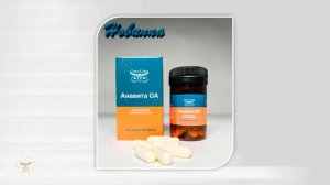 Новинки компании СОВО СОВА