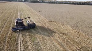 Уборка зерновых с высоты птичьего полёта