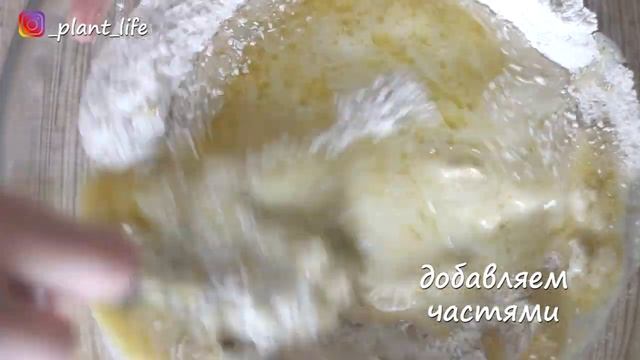 ВАФЛИ на веганском кефире | список ингредиентов под видео ? смотреть онлайн