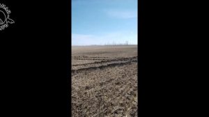 По уши в грязи! Засадили Х-Treil, но охота все же УДАЛАСЬ!!!