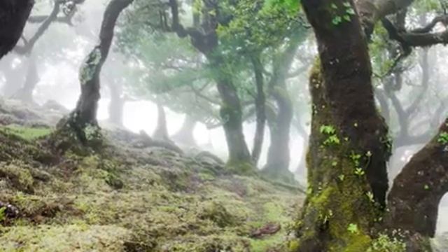 放鬆 睡覺 鬆弛 冥想 relax sleep relaxation meditation релакс сон расслабление медитация 15 смотреть онлайн