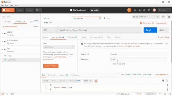 How to Set Up Basic Auth with Postman