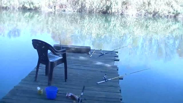 Как поймать ондатру смотреть онлайн