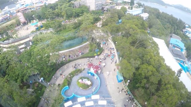 Оушен парк (Ocean Park) в Гонконге смотреть онлайн