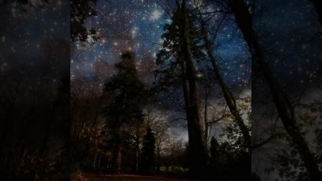 Авторская песня Елены Блохиной- монах смотреть онлайн