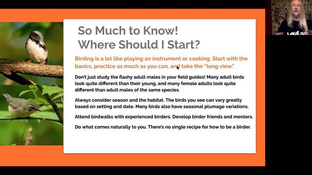 Beginning Birding Chicago Style смотреть онлайн