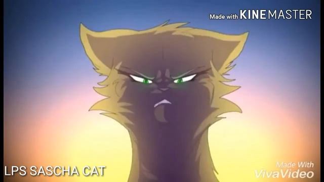 Коты Воители. (Клип) Миру-Мир смотреть онлайн