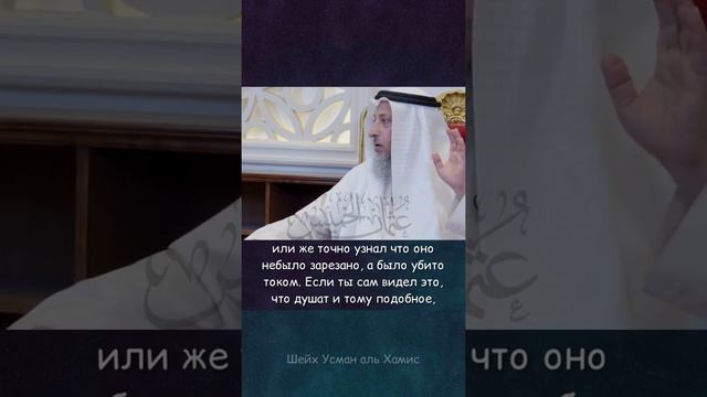 Мясо в России. Усман Аль-Хамис. смотреть онлайн