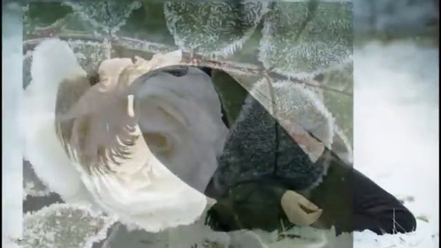 ProShow Slideshow467 РОЗА БЕЛАЯ смотреть онлайн