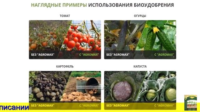 Какие удобрения перед посадкой картофеля смотреть онлайн