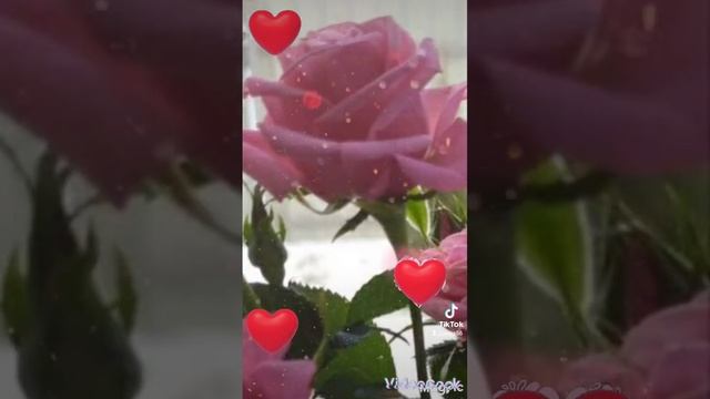 Эти букеты из роз для тебя.??? смотреть онлайн