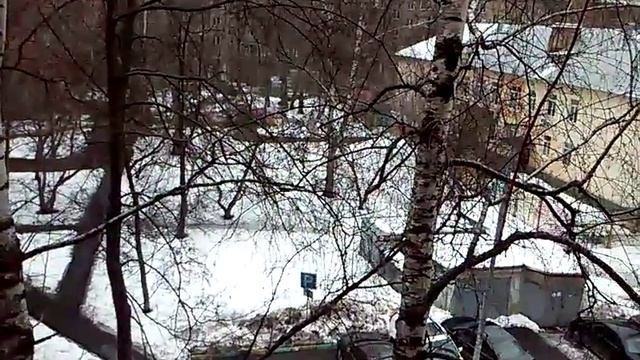 Тест камеры телефона смотреть онлайн