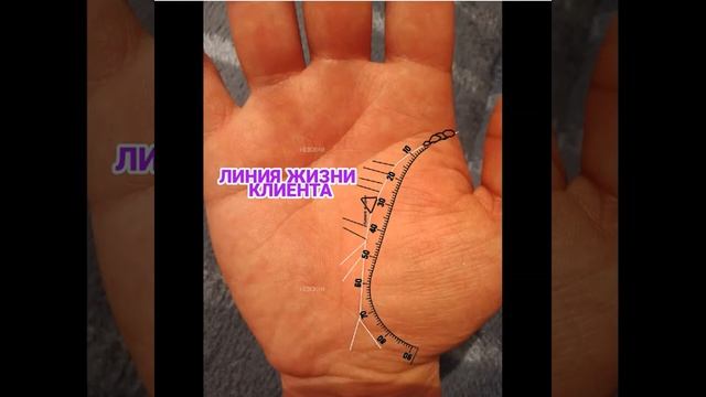 Разбор линии Жизни смотреть онлайн