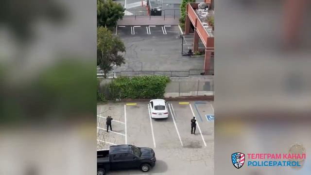 Подстрелили идиота / Применение оружия полицией смотреть онлайн