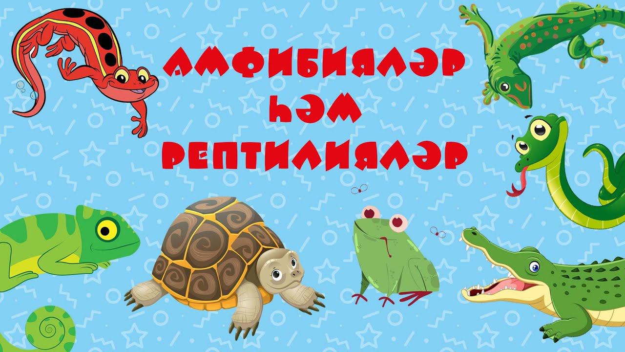 БӘБИ СҮЗ: сөйрәлүчеләр / Рептилии / Reptiles смотреть онлайн