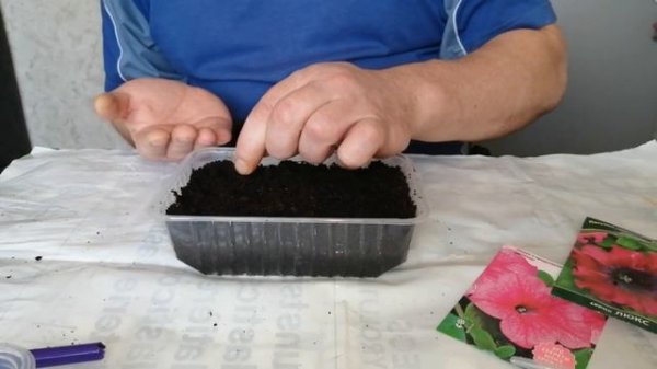 Посадка Петунии в Феврале(99,9% всхожести) Часть 1/Как Вырастить Рассаду Цветов из Мелких Семян/(0+