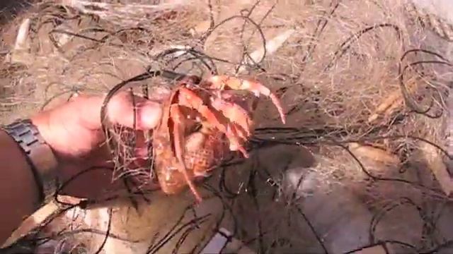 killer net смотреть онлайн