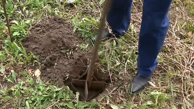 Инструмент для копки ямок (не бур) смотреть онлайн