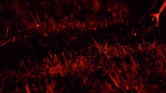 Cannibal Corpse- Code of the Slashers (NEW OFFICIAL VIDEO 2017) смотреть онлайн