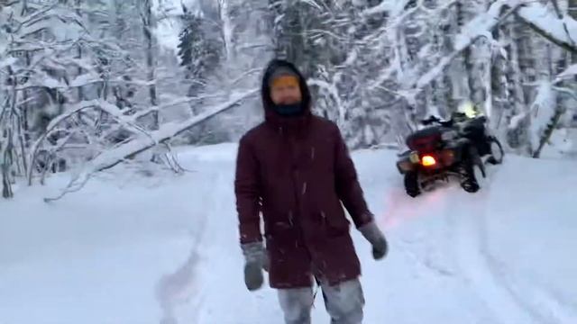 Славик врезался в дерево смотреть онлайн