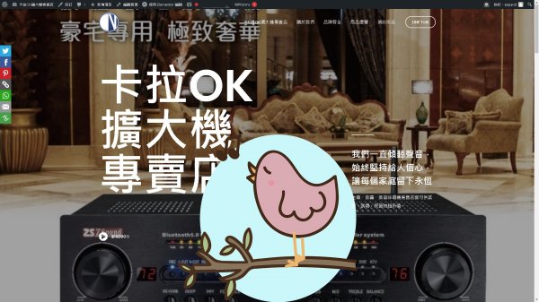 學校音響規劃社區音響室設計安裝公司行號音響規劃施工,工廠音響規劃設計 店內卡拉ok喇叭展示品3折起