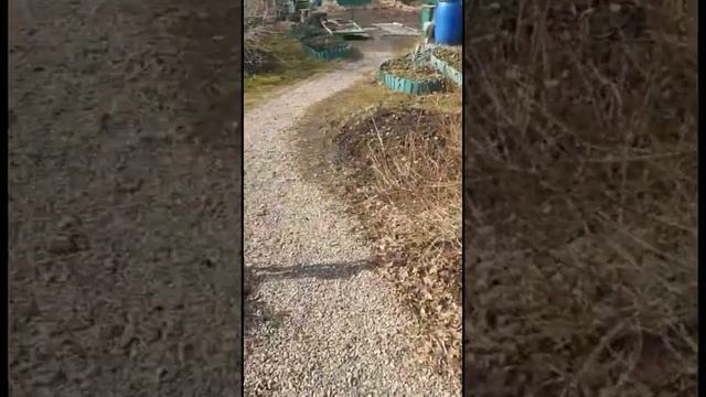 Едем устанавливать винтовые сваи смотреть онлайн