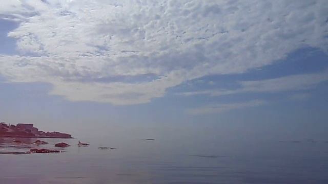 Каспийское море | валуны под ногами не дают подобраться к птицам на каменном острове смотреть онлайн