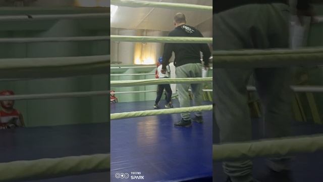 Мурманск обл. бокс спаринг г. Североморск спорткомплекс Олимпийский (Арачная) от 12.02.2023 смотреть онлайн