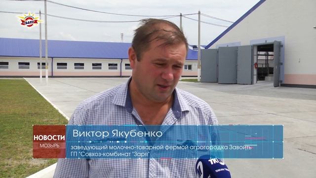 Молочно-товарная ферма совхоз-комбината «Заря» в агрогородке Завойть смотреть онлайн