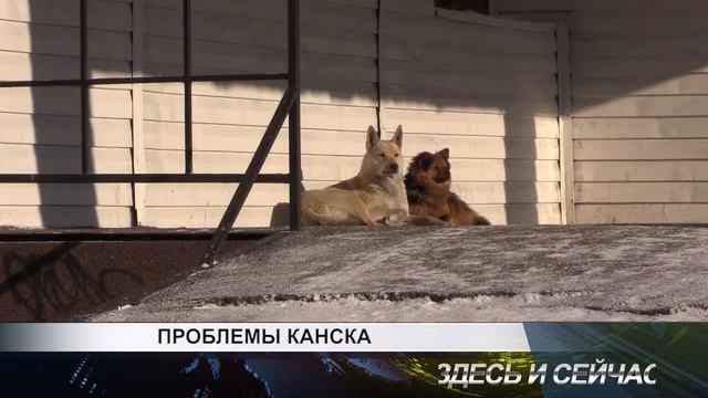 проблемы канска смотреть онлайн